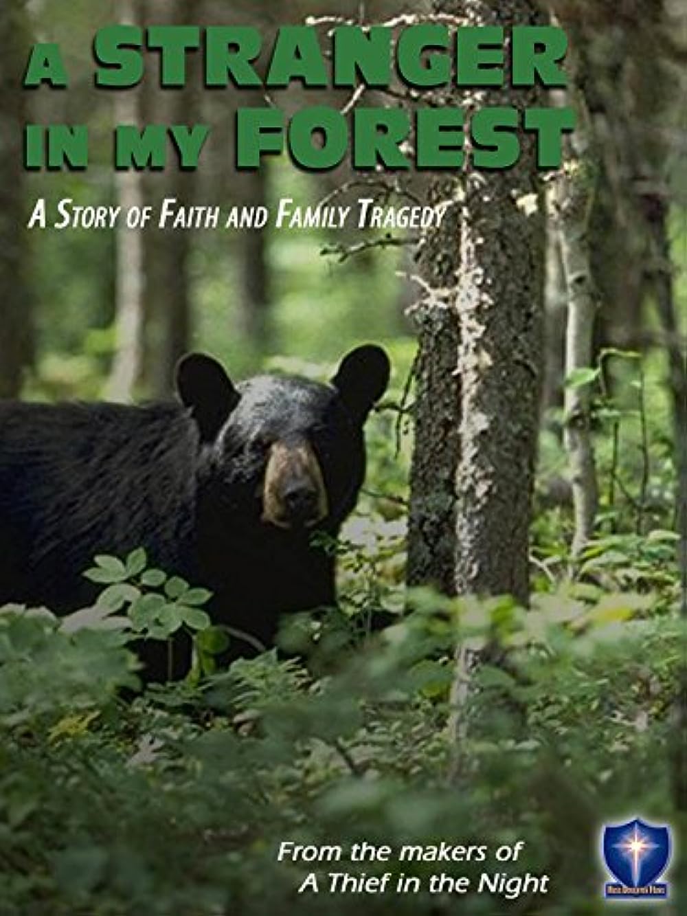 A Stranger in My Forest