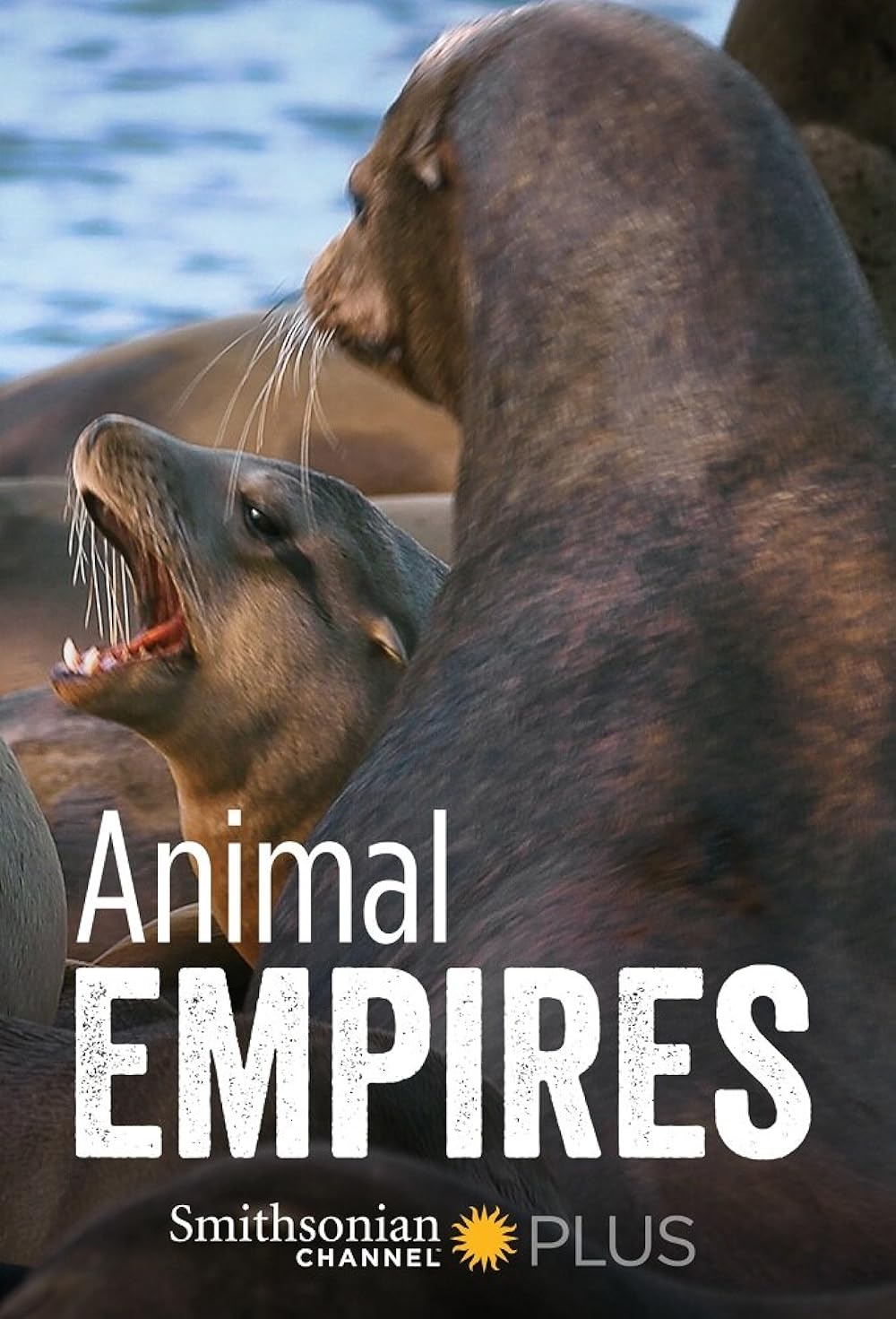 Animal Empire