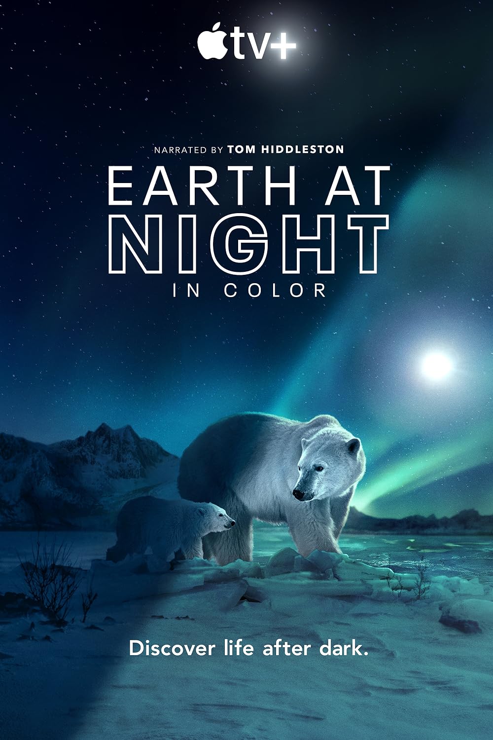 Earth at Night in Color