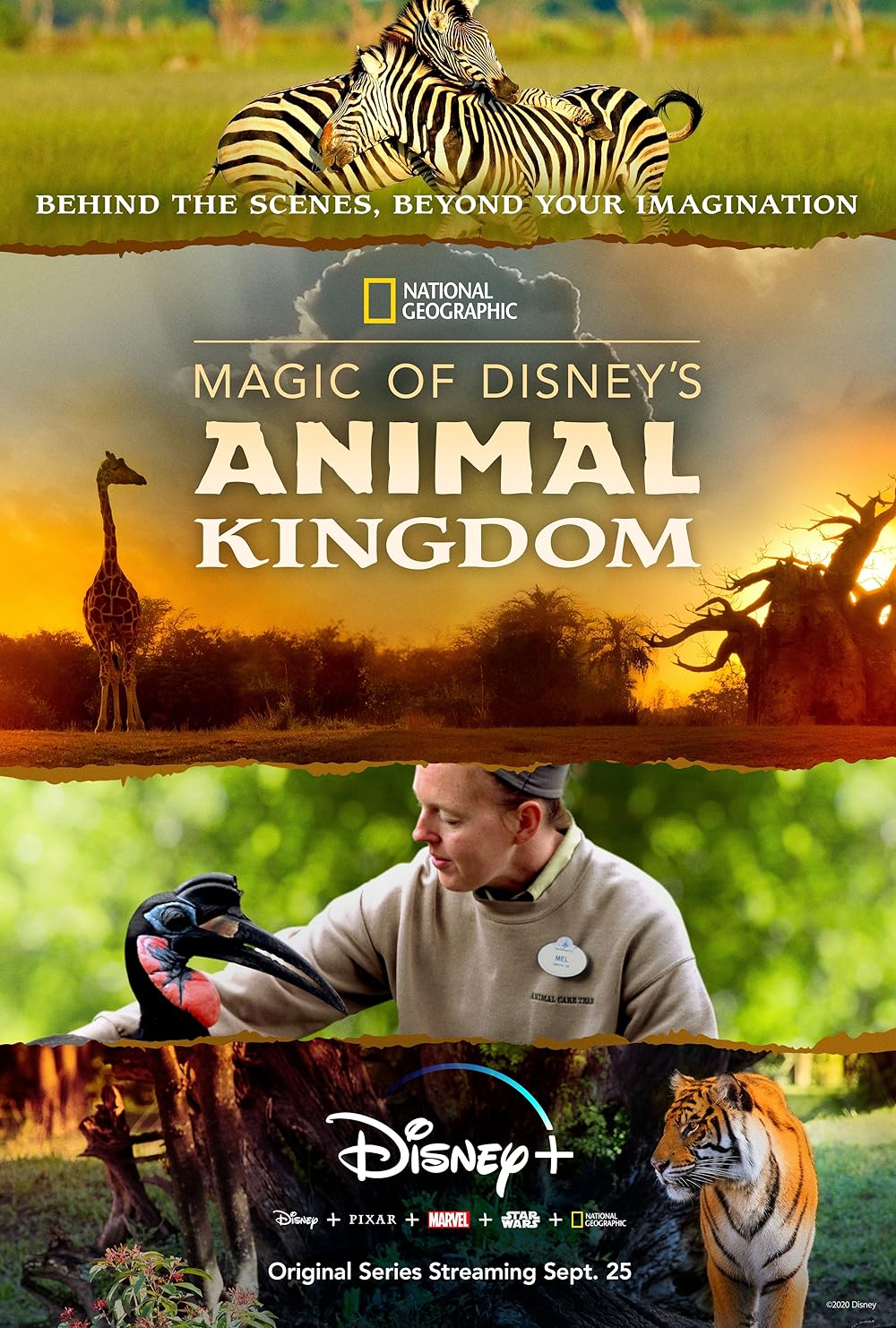 Magic of Disney's Animal Kingdom