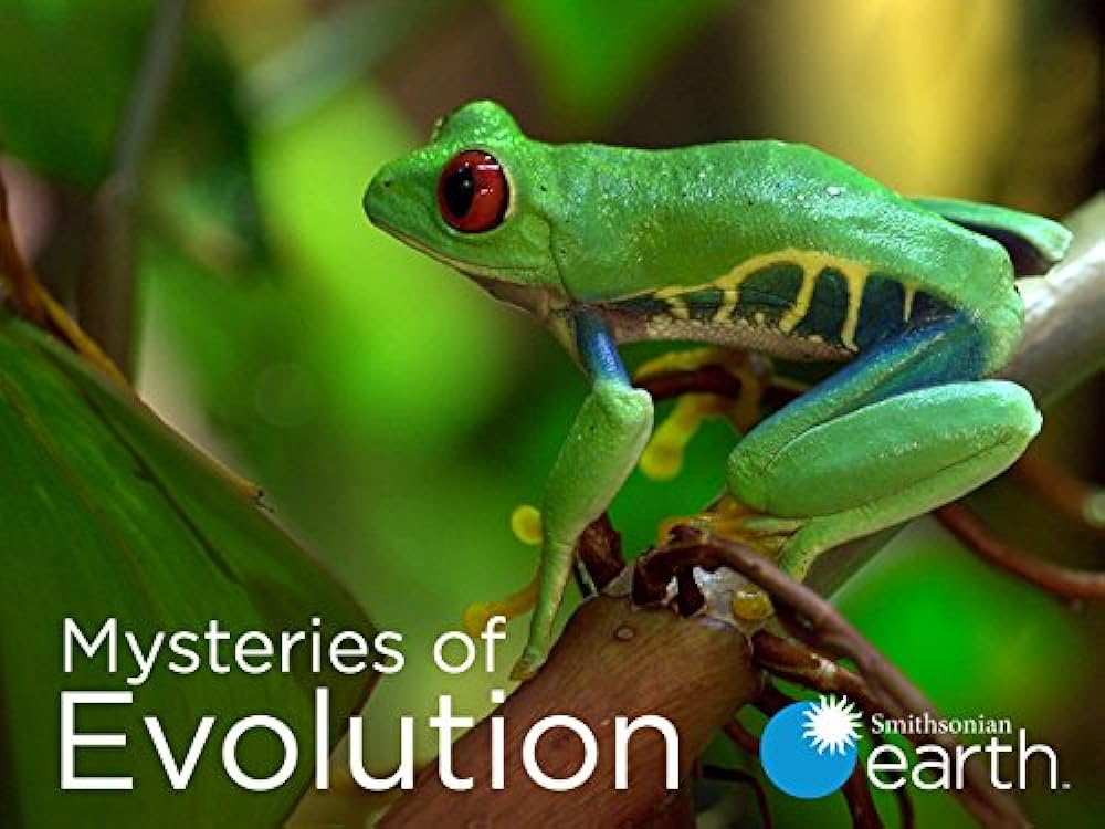 Mysteries of Evolution