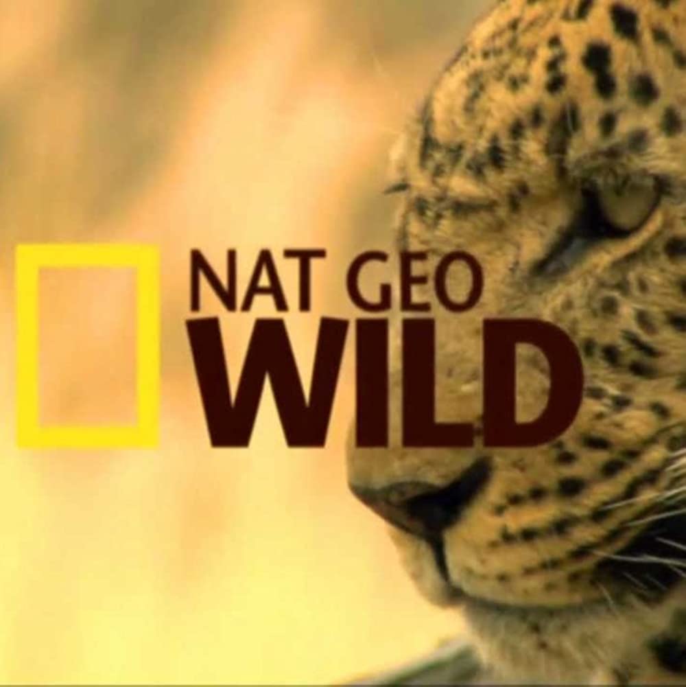 NatGeo Wild: Otter Town