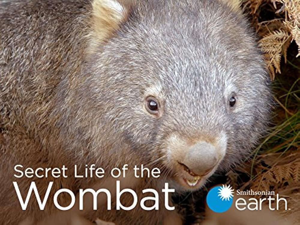 Secret Life of the Wombat