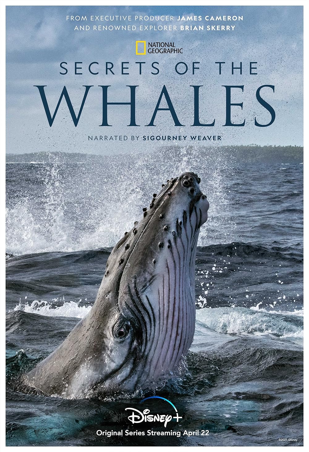 Secrets of the Whales