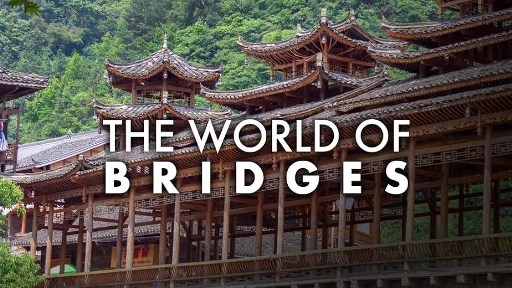 The World of Bridges