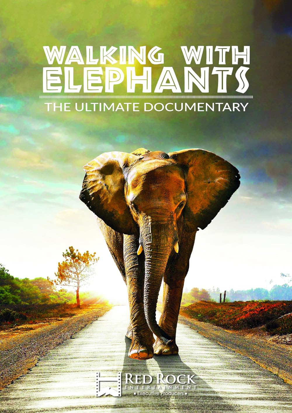 Walking With Elephants