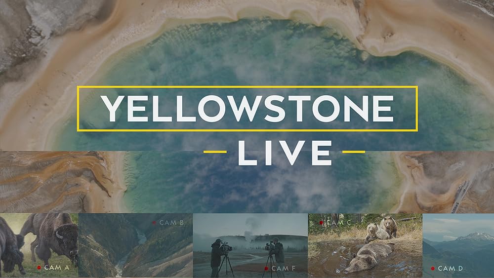 Yellowstone LIVE